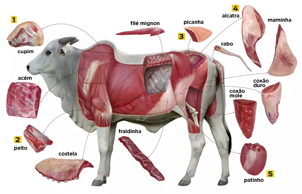 Atlas do Boi e Cortes Premium para Churrasco