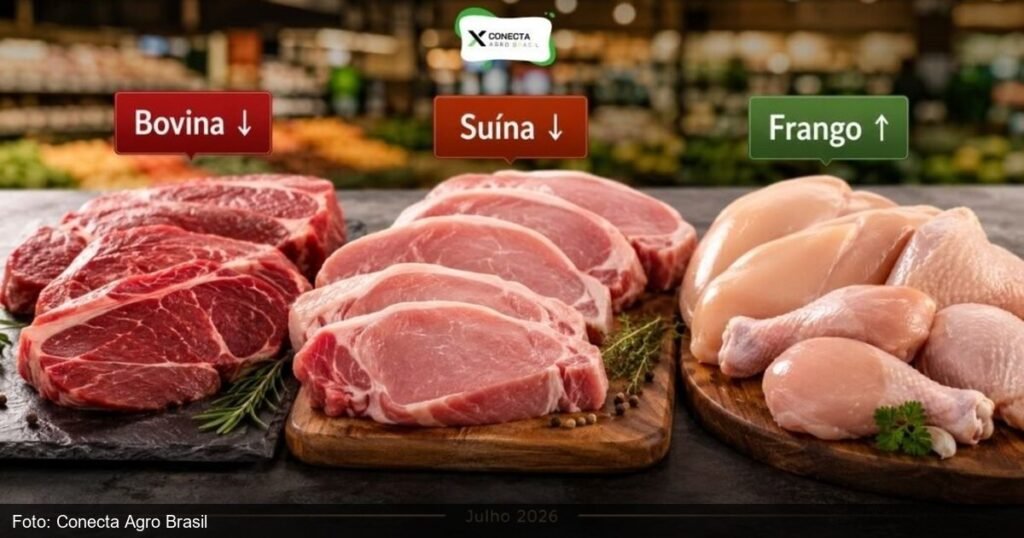 Carnes bovina, suína e frango no mercado brasileiro