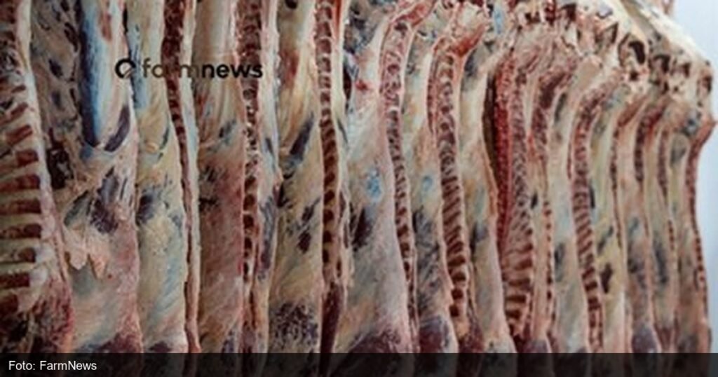 Cortes de carne bovina fresca em frigorifico, ilustrando exportacao brasileira
