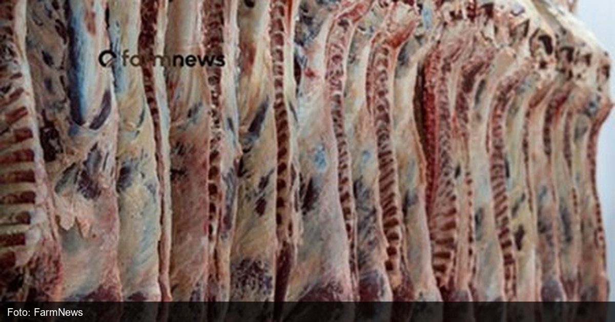 Cortes de carne bovina fresca em frigorifico, ilustrando exportacao brasileira