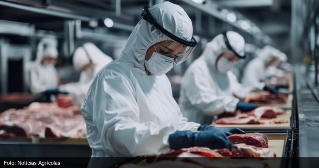 Frigorífico de carne bovina para exportação em Mato Grosso