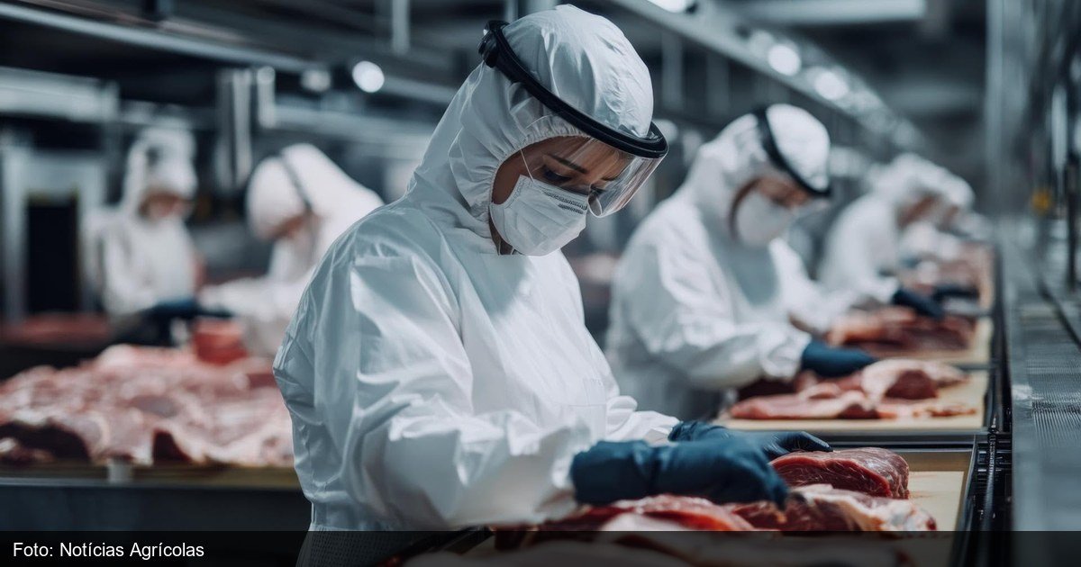 Frigorífico de carne bovina para exportação em Mato Grosso